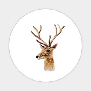 deer painting Magnet